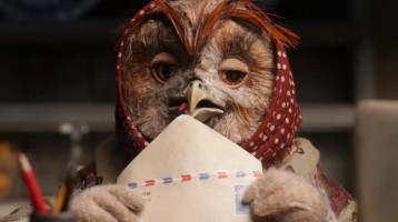 MORNING WAKE UP SEXY SHORTS 2019