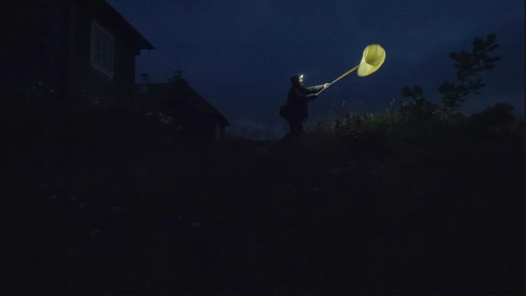 The Illusion of a Quiet Night: Wiz-Art 2026 Feature Films